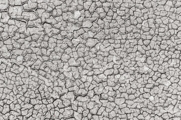 texture of surface densely covered with cracks
