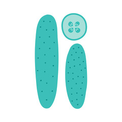 Fresh cucumber concept, whole and slice in flat cartoon style. Hand drawn graphic elements of vegetarian organic food. Vector illustration on isolated white background.