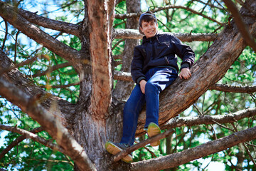 Naklejka na ściany i meble Teenage boy playing outdoor, climbing a tree, bright sunlight, beautiful day