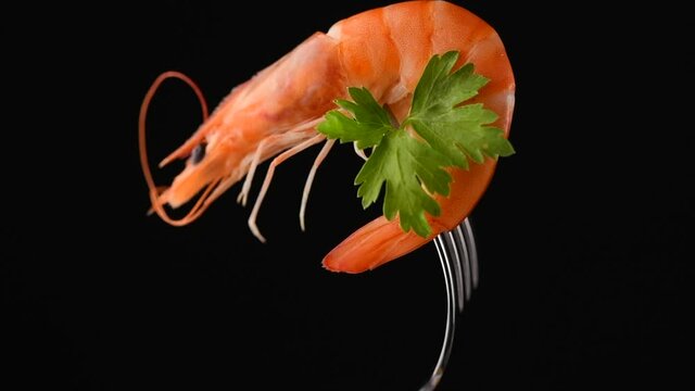 Shrimp, prawn. Fresh Prawn on a fork rotating over Black Background. Seafood, preparing healthy gourmet food, healthy eating, cooking, diet, nutrition concept. Slow motion 4K UHD video