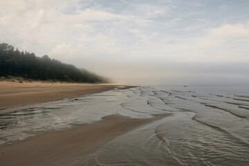 Foggy morning  & beach
