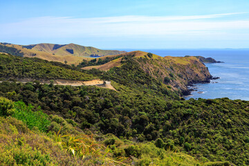 Fototapeta na wymiar Coastal landscape in the remote far north of the Coromandel Peninsula, New Zealand, between Port Jackson and Fletcher Bay