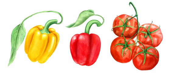 Set of vegetables: red tomato branch and yellow and red bell pepper with green leaves isolated on a white background watercolor illustration suitable for food design