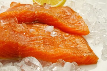 Salmon fillet on ice