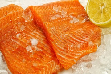 Fresh salmon fish fillet lies on ice, chilled products, background