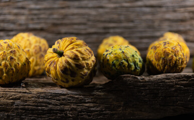 The araticum (Annona crassiflora) is a fruit native to the cerrado and belongs to the family Annonaceae.
