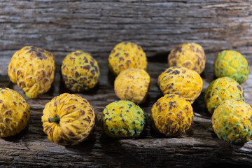 The araticum (Annona crassiflora) is a fruit native to the cerrado and belongs to the family...