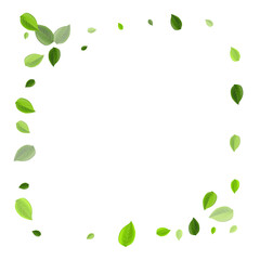 Grassy Foliage Flying Vector Concept. Wind Leaves 
