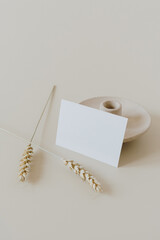 Blank paper cards with mockup copy space and wheat / rye stalks on beige background. Minimal business brand template.