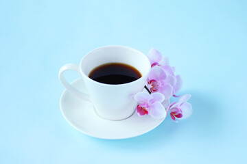 胡蝶蘭とコーヒー