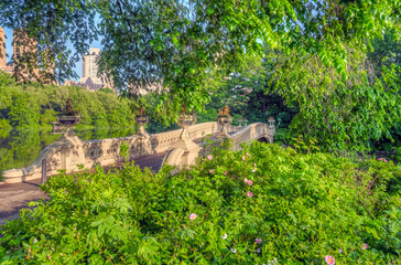 Bow bridge in early summer
