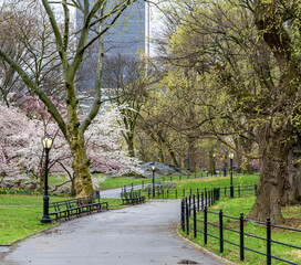 Central Park in spring