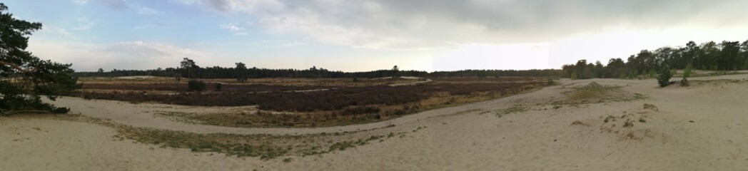 Fototapeta premium panorama of the river