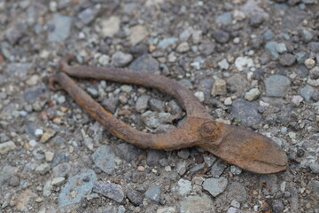 錆び付いた生け花鋏