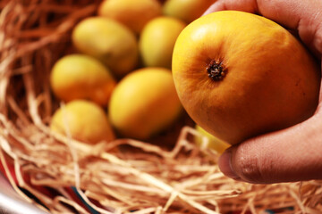Hand Holding Mangoes Organic Healthy Fruit