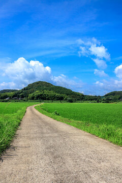 アメリカの田舎道 の画像 156 件の Stock 写真 ベクターおよびビデオ Adobe Stock アメリカの田舎道 の画像 156 件の Stock 写真 ベクターおよびビデオ Adobe Stock