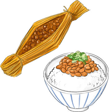 納豆のイラスト