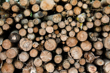 Texture - Stack of Firewood 