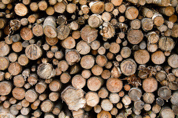 Texture - Stack of Firewood 
