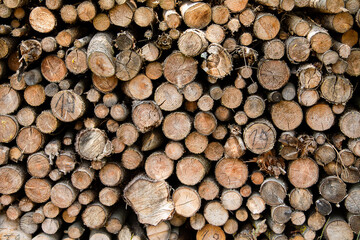 Fototapeta premium Texture - Stack of Firewood 