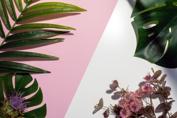 Flat lay of a palm and monstera leaves and pink flowers on white and pink background