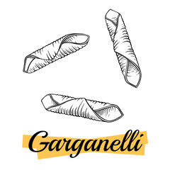 Garganelli Italian pasta, isolated on white. Group of garganelli close-up. Pasta italiana package design element. Pasta secco for cook or recipe book. Simple quick side dish for vegetarian. Vector.