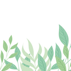 decoration of tropical branches and leaves pastel color on white background vector illustration design