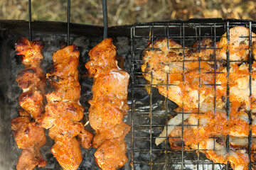 Grilled meat skewers. Barbecue fried on grill. Cooking meat on the coals. Outdoor recreation. Summer bbq party.

