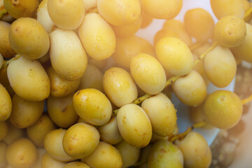 Group of Date Palm Fresh