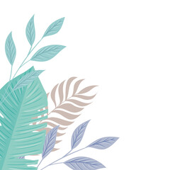 tropical branches with leaves pastel color on white background vector illustration design