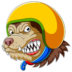 Dog wearing helmet of Racer