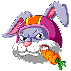 Rabbit wearing helmet of Racer
