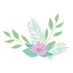 flowers lilac color pastel with branches and leaves , nature concept vector illustration design