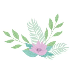 Photo sur Plexiglas Monstera flowers lilac color pastel with branches and leaves , nature concept vector illustration design