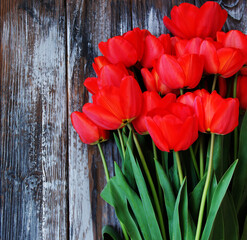 red tulips on wooden background 