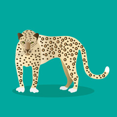 Jaguar on a green background. Animals of South America.