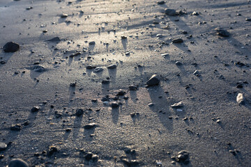 Wet, sparklingly shining sandy beach close up with pebbles during sunrise golden hour