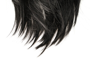 Black hair tips isolated on white.