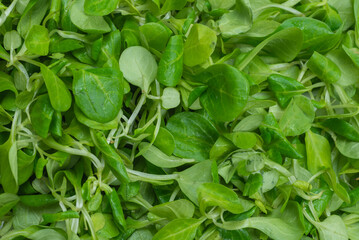 Mash salad on white background.