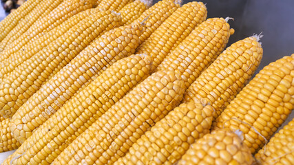 Boiled corn on the streets of Istanbul. Turkey.