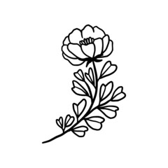Hand drawn monochrome flower plant, leaf, and foliage element for wedding invitation, floral logo, symbol, greeting cards, decor, botanical icon, or banner. Summer, spring, and autumn botany element