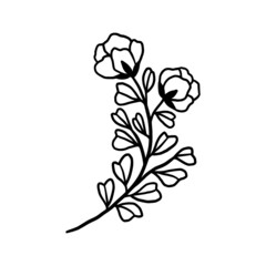 Hand drawn monochrome flower plant, leaf, and foliage element for wedding invitation, floral logo, symbol, greeting cards, decor, botanical icon, or banner. Summer, spring, and autumn botany element