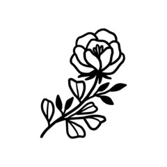 Obraz premium Hand drawn monochrome flower bud, plant, leaf, and foliage element for wedding invitation, logo, symbol, greeting cards, decor, botanical icon, or banner. Summer, spring, and autumn botany element