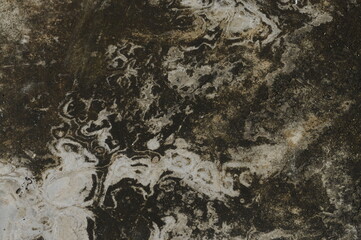 Abstract of mold texture on dirty walls in texture background concept.
