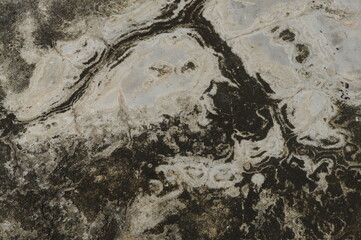 Abstract of mold texture on dirty walls in texture background concept.