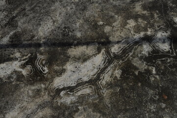 Abstract of mold texture on dirty walls in texture background concept.