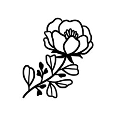 Hand drawn monochrome flower bud, plant, leaf, and foliage element for wedding invitation, logo, symbol, greeting cards, decor, botanical icon, or banner. Summer, spring, and autumn botany element