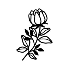 Hand drawn monochrome flower bud, plant, leaf, and foliage element for wedding invitation, logo, symbol, greeting cards, decor, botanical icon, or banner. Summer, spring, and autumn botany element