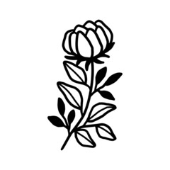 Hand drawn monochrome flower bud, plant, leaf, and foliage element for wedding invitation, logo, symbol, greeting cards, decor, botanical icon, or banner. Summer, spring, and autumn botany element