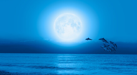 Fototapeta na wymiar Dolphins jumping through the clouds - Silhoutte of dolphins jumping up from the sea with blue full moon 